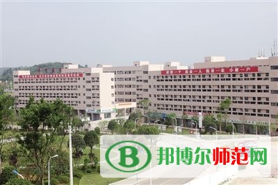 畢節(jié)幼兒師范高等專科學校2023年網(wǎng)站網(wǎng)址