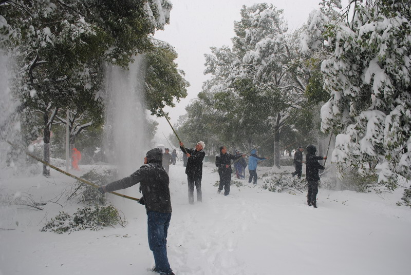 淮南師范學(xué)院召開抗雪防災(zāi)工作會議，加強校園安全工作