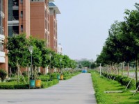 中山大學(xué)新華師范學(xué)院東莞校區(qū)歷年錄取分數(shù)線