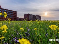 南開師范大學(xué)津南校區(qū)2023年學(xué)費、收費多少