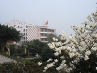 重慶永川幼師職業(yè)教育中心2023年招生辦聯系電話