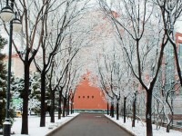 中國政法師范大學昌平校區(qū)歷年錄取分數線