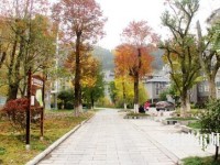 吉首師范大學(xué)張家界學(xué)院2023年學(xué)費(fèi)、收費(fèi)多少