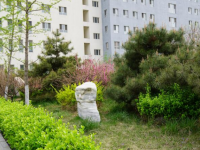 涿州幼師技師學院2023年學費、收費多少