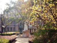 東華大學師范學院延安路校區(qū)2023年學費、收費多少