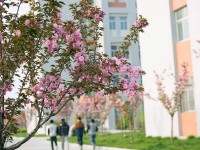 渭南職業(yè)技術(shù)師范學(xué)院朝陽校區(qū)2023年學(xué)費(fèi)、收費(fèi)多少