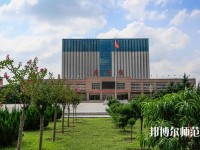 濮陽職業(yè)技術師范學院2023年網站網址