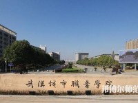 武漢城市職業(yè)師范學(xué)院2023年是幾專(zhuān)