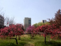 漯河職業(yè)技術(shù)師范學(xué)院2023年學(xué)費(fèi)、收費(fèi)多少