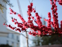 山東威海藝術(shù)幼兒師范學校2023年學費、收費多少