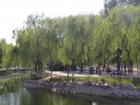 新鄉(xiāng)工程師范學(xué)院2023年學(xué)費(fèi)、收費(fèi)多少