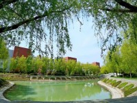 商丘職業(yè)技術師范學院2023年招生錄取分數(shù)線