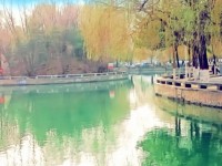 內蒙古大學師范學院北校區(qū)歷年招生錄取分數(shù)線
