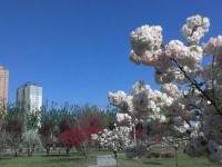 河北正定師范高等?？茖W校2023年招生錄取分數(shù)線