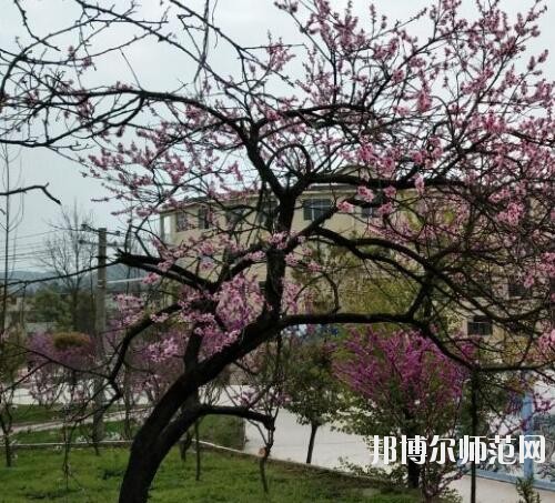 貴陽(yáng)中華幼師職業(yè)學(xué)校2023年怎么樣、好不好