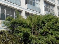 貴州貴陽中山科技幼兒師范學(xué)校2023年學(xué)費(fèi)、收費(fèi)多少