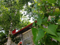 河北航空管理幼兒師范中等專業(yè)學(xué)校2023年怎么樣，好不好