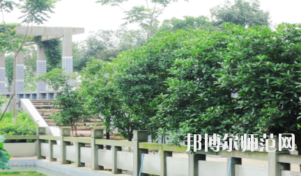 德陽通用電子科技幼兒師范學校2020年報名條件、招生要求、招生對象