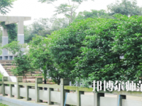德陽通用電子科技幼兒師范學校2021年報名條件、招生要求、招生對象