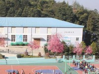 云南林業(yè)幼兒師范高級技工學校2023年學費、收費多少