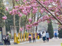 石家莊法商幼兒師范中等專業(yè)學校2023年學費、收費多少