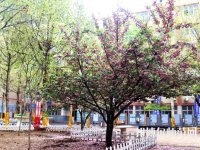 石家莊法商幼兒師范中等專業(yè)學(xué)校2023年報名條件、招生要求、招生對象