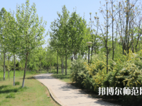 石家莊中英航空幼兒師范中等專業(yè)學(xué)校2023年怎么樣、好不好