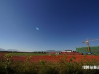 云南2020年初中生有哪些幼師學(xué)校？