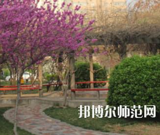 鄭州2020年幼師學(xué)?？梢詫W(xué)什么
