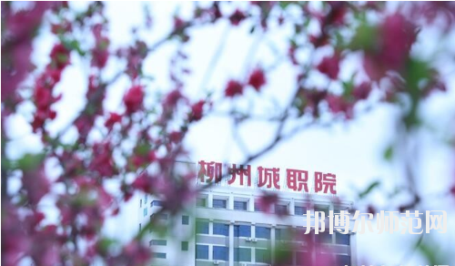 柳州城市職業(yè)師范學(xué)院怎么樣、好不好