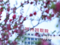 柳州城市職業(yè)師范學院2023年怎么樣、好不好