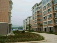 廣西幼兒師范高等?？茖W(xué)校2023年招生簡章