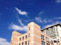 東華大學(xué)師范學(xué)院延安路校區(qū)2023年報名條件、招生要求、招生對象