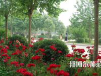 河南科技職業(yè)師范大學(xué)2023年報(bào)名條件、招生要求、招生對(duì)象