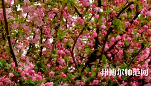 鄭州大學(xué)師范學(xué)院南校區(qū)2023年怎么樣、好不好