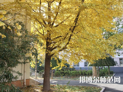 北京京北職業(yè)師范技術(shù)學(xué)院2023年報(bào)名條件、招生要求、招生對(duì)象