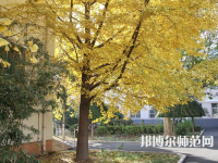 北京京北職業(yè)師范技術(shù)學(xué)院2023年報(bào)名條件、招生要求、招生對(duì)象