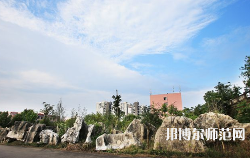 重慶安全技術(shù)幼兒師范職業(yè)學院2023年是幾專