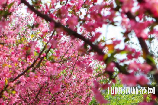 鄭州大學師范學院主校區(qū)2023年報名條件、招生要求、招生對象