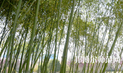 周口職業(yè)技術(shù)師范學(xué)院開元校區(qū)2023年報名條件、招生要求、招生對象
