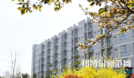 周口職業(yè)技術(shù)師范學(xué)院開元校區(qū)2023年怎么樣、好不好