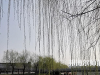 鶴壁職業(yè)技術師范學院2023年怎么樣、好不好