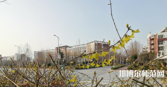 鶴壁職業(yè)技術(shù)師范學(xué)院2023年報(bào)名條件、招生要求、招生對象