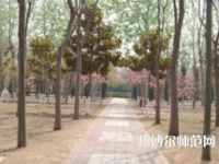 濮陽職業(yè)技術師范學院2023年報名條件、招生要求、招生對象