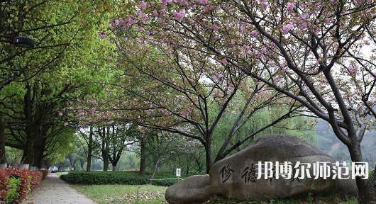 紹興文理師范學(xué)院2023年有哪些專(zhuān)業(yè)