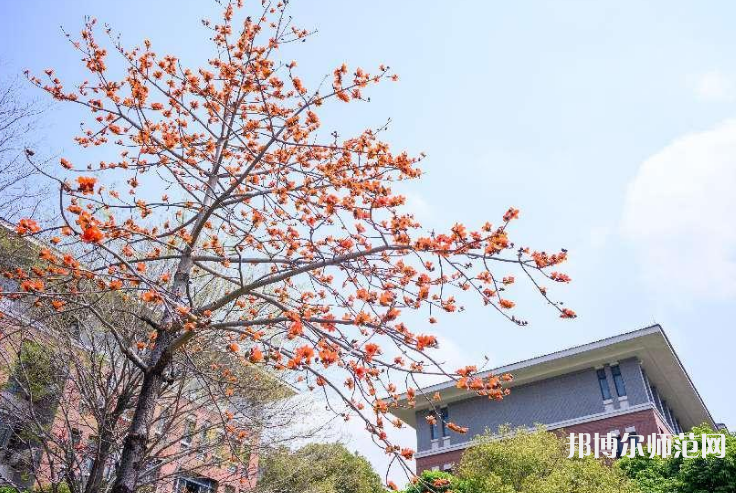 中山大學新華師范學院東莞校區(qū)2023年地址在哪里