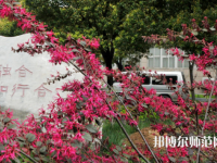 駐馬店師范職業(yè)技術(shù)學院2023年有哪些專業(yè)