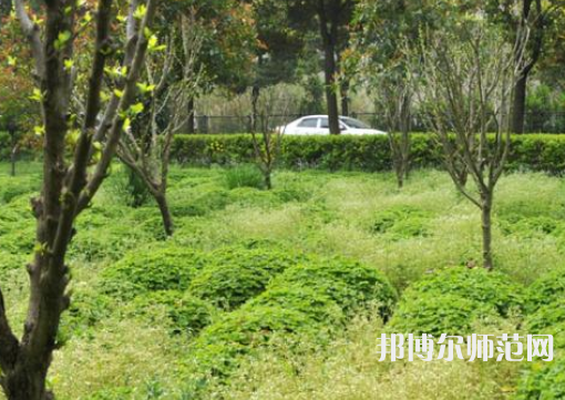 駐馬店師范職業(yè)技術學院2023年報名條件、招生要求、招生對象