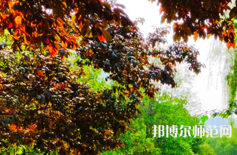 河南大學(xué)師范學(xué)院金明校區(qū)2023年怎么樣、好不好