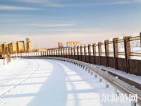 榆林職業(yè)技術(shù)師范學院2023年招生代碼